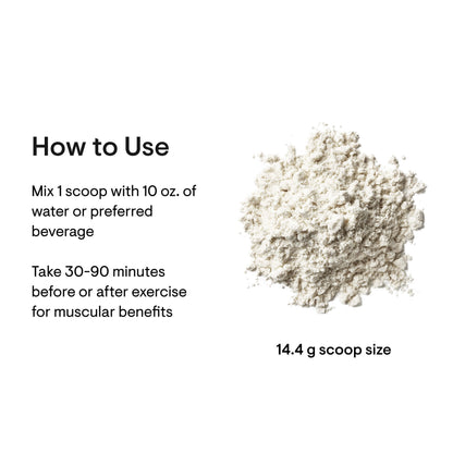 Creatine + BCAAs